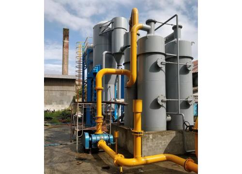 Biomass fuel gasifier